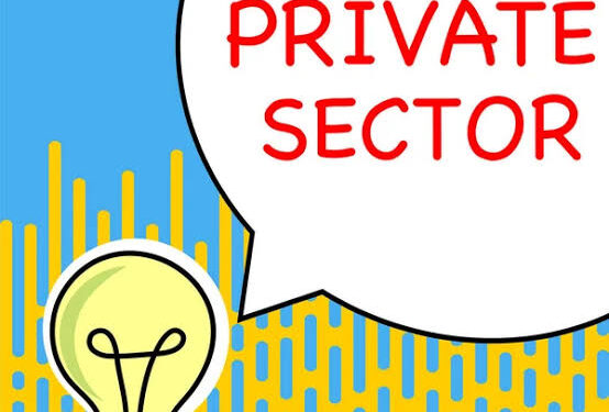 Recapitalisation To Lift Private Sector’s Credit Above 13%