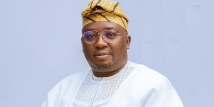 Nigeria Targets $10 Billion in PPP Investments to Tackle Power Sector Woes, Says Minister