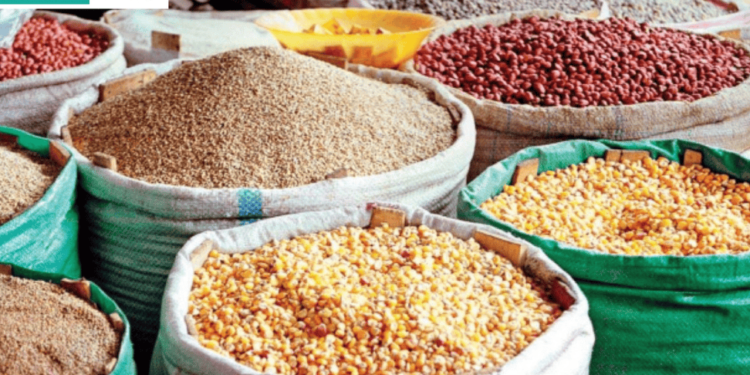 33 Million Nigerians at Risk of Food Crisis in 2025 ─ Report