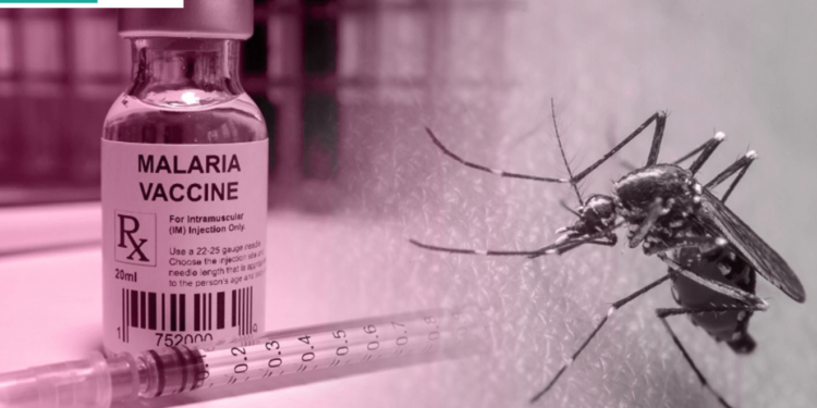 FG to Begin Malaria Vaccination in Kebbi, Bayelsa on December 2