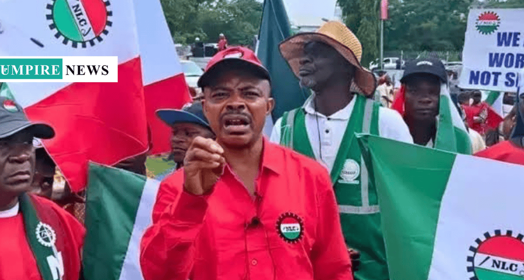 NLC Issues December 1 Deadline for State Governments to Implement New Minimum Wage