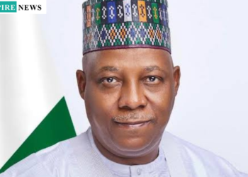 Vice President Shettima Praises Akure Kingdom’s Rich Heritage, Unity, and Cultural Legacy