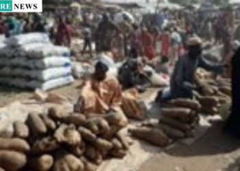 Military Pledges to Protect Northern Farmers During Harvest Season