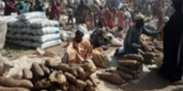 Military Pledges to Protect Northern Farmers During Harvest Season