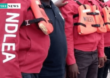 Drug Cartel Leaders Jailed, Lagos Mansions Forfeited in Historic NDLEA Bust