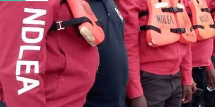 Drug Cartel Leaders Jailed, Lagos Mansions Forfeited in Historic NDLEA Bust