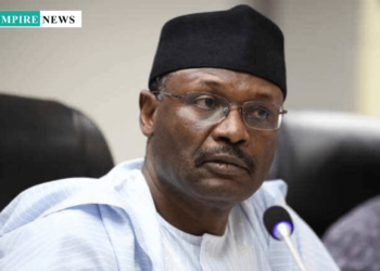 Electoral Reforms: Hope for Diaspora Voters as INEC Considers Diaspora Voting