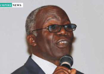 Blame Police for Death of 115 Nigerians During Food Stampedes, Says Falana