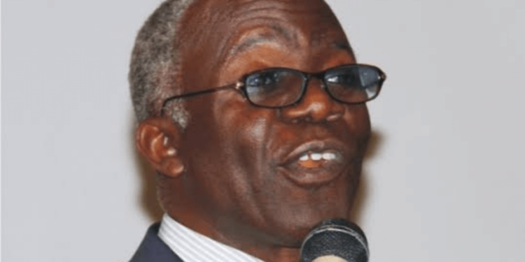 Blame Police for Death of 115 Nigerians During Food Stampedes, Says Falana