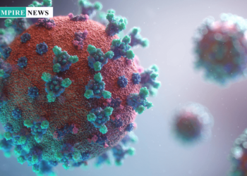 FG Issues Health Declaration Requirement for Inbound Passengers Amid New COVID-19 Variant