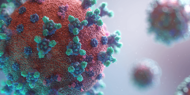 FG Issues Health Declaration Requirement for Inbound Passengers Amid New COVID-19 Variant