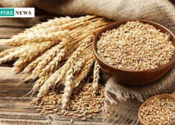 FG Launches Wheat Subsidy to Boost Food Security and Agricultural Growth