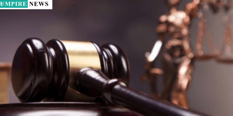 Dele Farotimi Released After Meeting Bail Conditions