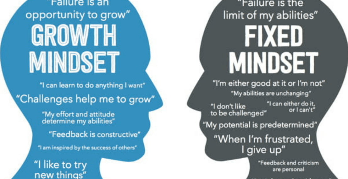 Navigating the Turbulent Terrain of Entrepreneurship: The Power of Tenacity, Growth Mind-set, and Grit