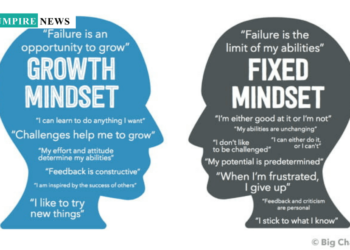 Navigating the Turbulent Terrain of Entrepreneurship: The Power of Tenacity, Growth Mind-set, and Grit