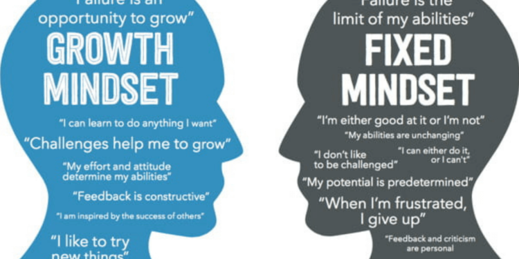 Navigating the Turbulent Terrain of Entrepreneurship: The Power of Tenacity, Growth Mind-set, and Grit