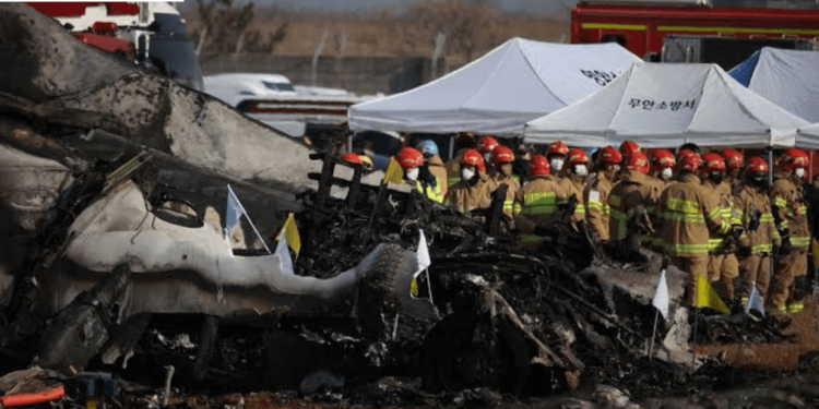 Plane Crash in Muan, South Korea, Kills Over 170