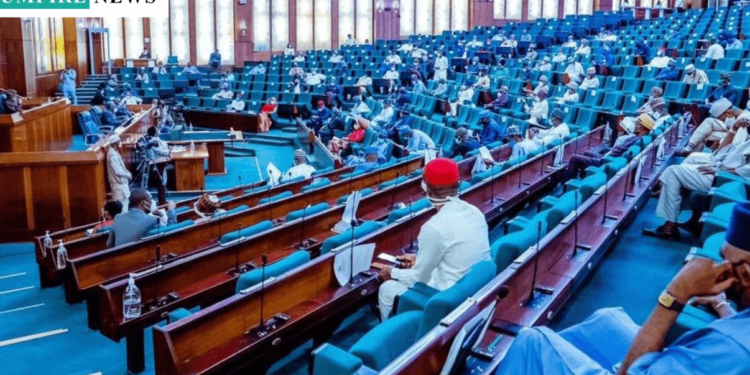 Reps to Donate N704.91m Half-Year Salaries to Tinubu for Vulnerable Nigerians