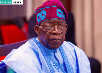 Tinubu Reshuffles South-East Development Commission Board