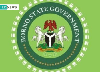 Borno State Bans Street Hawking to Ensure Urban Order