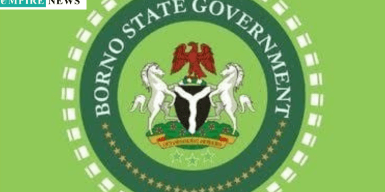 Borno State Bans Street Hawking to Ensure Urban Order