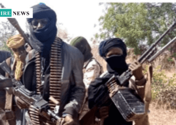 Bandits Abduct Six Travellers, Set Vehicles Ablaze In Zamfara