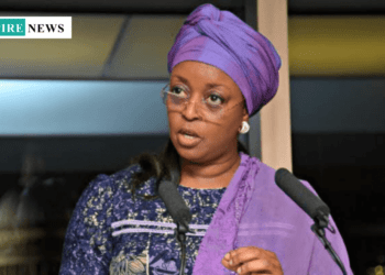 Diezani Alison-Madueke: $50m of Alleged Loot Returned to Nigeria for Public Projects