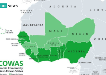 ECOWAS Faces Threat of Uncertain Future as Body Formalizes Mali, Niger, Burkina Faso Exit