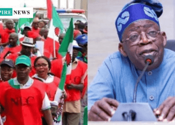 FG Commits to Minimum Wage Review in Under Two Years