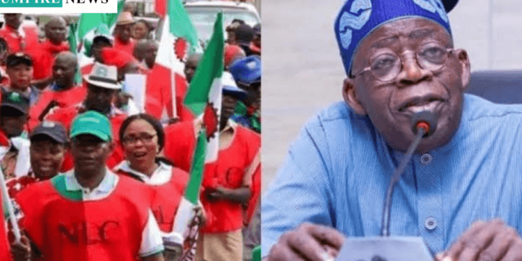 FG Commits to Minimum Wage Review in Under Two Years