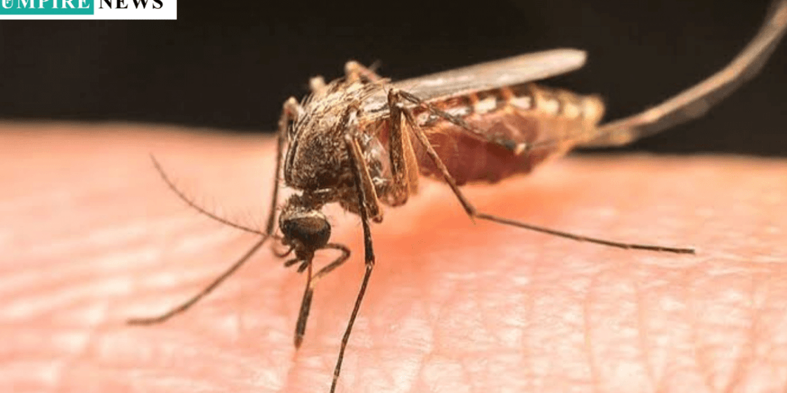 Kogi State Tackles Malaria Burden with Comprehensive Training for Health Workers