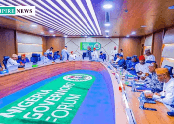 Governors Propose Revised VAT Sharing Formula to Ensure Equity