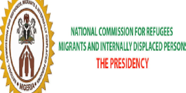 390 Nigerian Migrants Return to Nigeria from Niger Republic