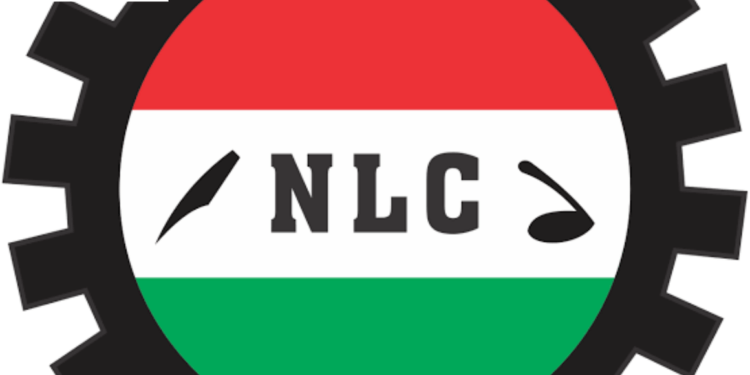 2025 Budget: NLC Displeased Over FG’s N8bn Electricity Bill Payment Sensitization Plans
