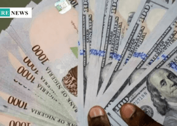 Naira appreciates to N1,610/$1 in the parallel market, representing a N20 increase within a day