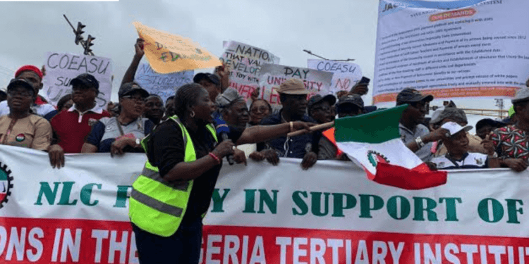 Polytechnic Workers Protest Career Stagnation, Begin Three-Day Strike