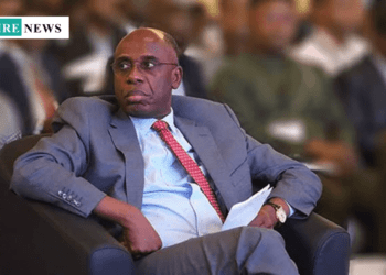 Amaechi Criticizes Nigerian Politicians, Says They Seek Power to Steal and Kill