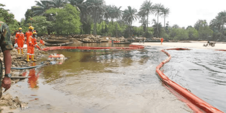Cleaning Up Ogoniland is Saving Children from Cancer: Why the FG Should Expedite Action