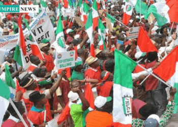 NLC Threatens Shutdown, Ask Workers to Boycott Network Providers