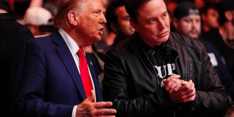 Trump Wants a More Aggressive Musk in Federal Cuts Exercise