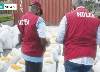 NDLEA Foils Cocaine Smuggling Attempt