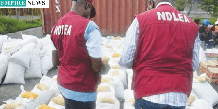 NDLEA Foils Cocaine Smuggling Attempt