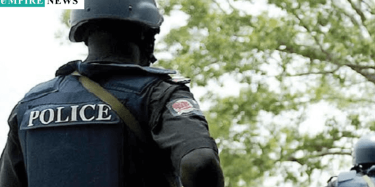 Plateau Police Reveal Minimal Cases of Ritual Killings in the State