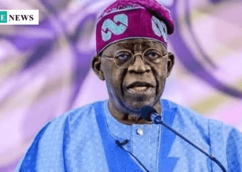 Bangladesh-Nigeria Trade Hits $100m Milestone