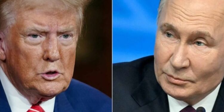 Peace talk between Trump, Putin scheduled for this week