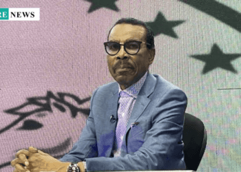 Road Concession, Toll Gates Will Reduce Inflation, Strengthen Naira – Rewane