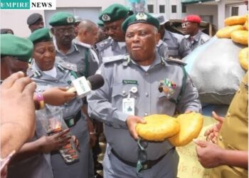 Nigeria Customs Service Generates N743 Million in February