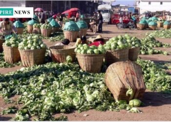 Nigeria Loses $9 Billion Annually to Food Waste