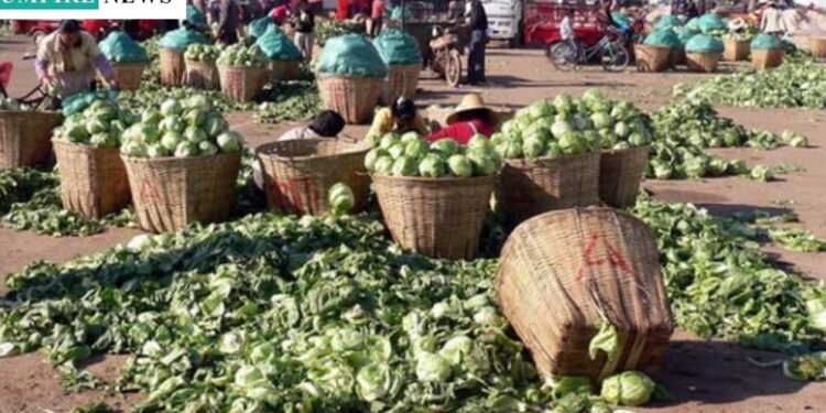 Nigeria Loses $9 Billion Annually to Food Waste