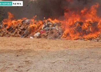 NDLEA Destroys Largest Drugs Seizure Of 1.6 Million Kilograms